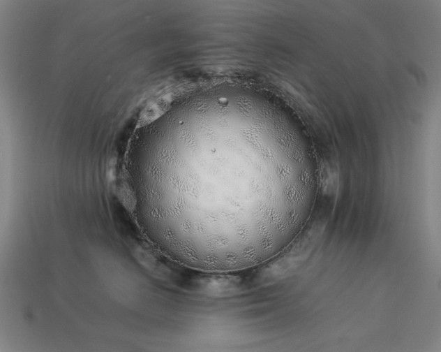 X0000113930670200909251220