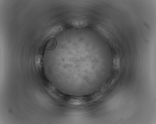 X0000113930671200909251220
