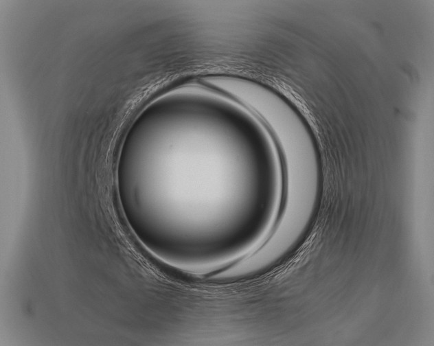 X0000113930673200909251220
