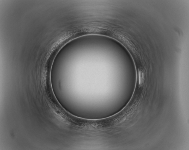 X0000113930675200909251220