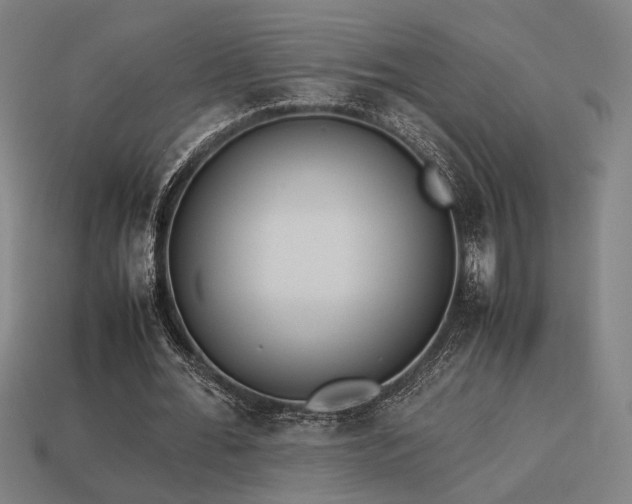 X0000113930676200909251220