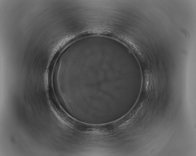 X0000113930678200909251220
