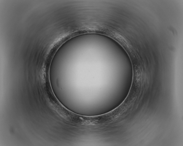X0000113930680200909251219