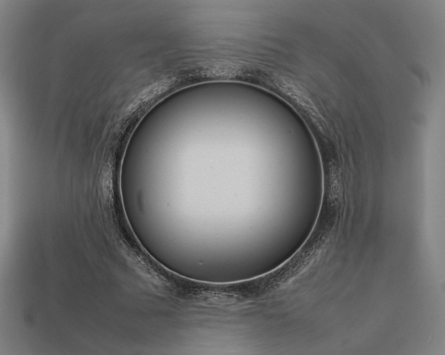 X0000113930681200909251219