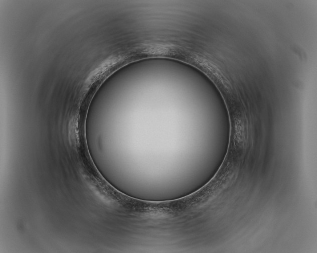 X0000113930682200909251219