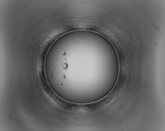 X0000113930683200909251219
