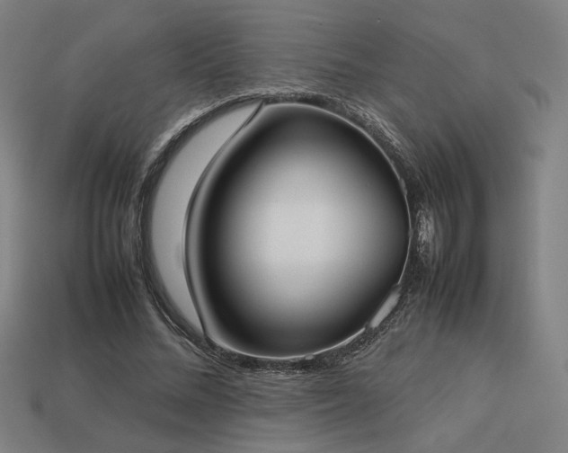 X0000113930684200909251219
