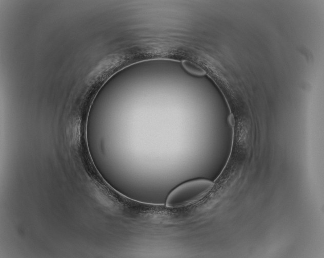 X0000113930685200909251219