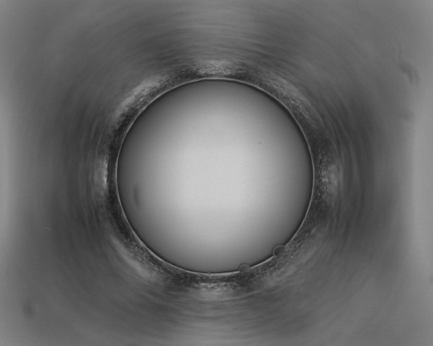 X0000113930686200909251219