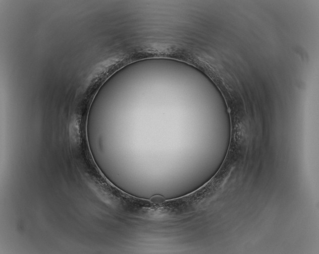 X0000113930688200909251219