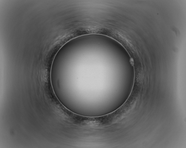 X0000113930689200909251219