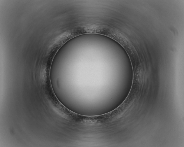 X0000113930690200909251219
