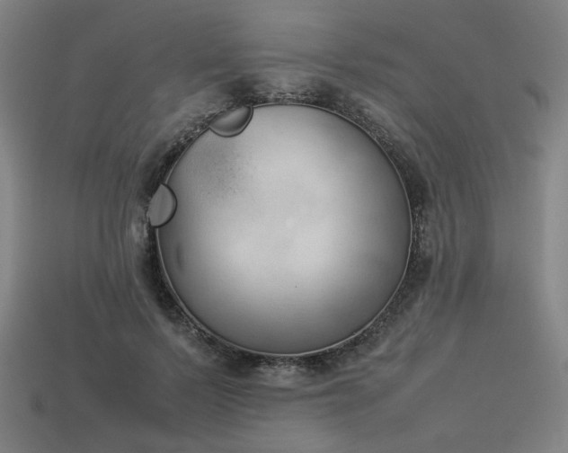 X0000113930695200909251219