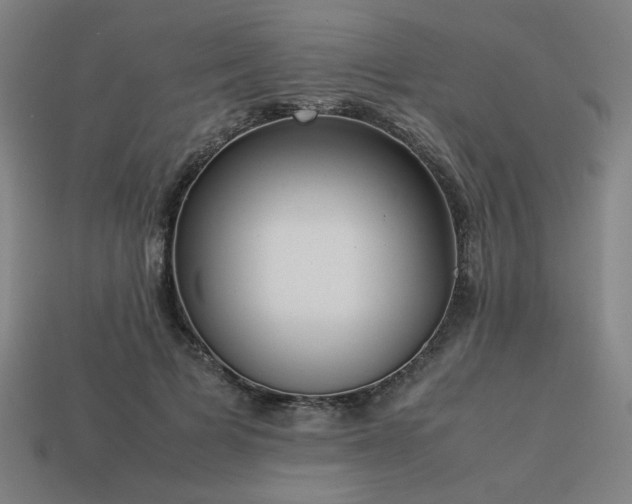 X0000113930697200909251219