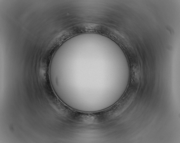 X0000113930698200909251219