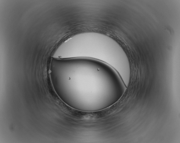 X0000113930700200909251219