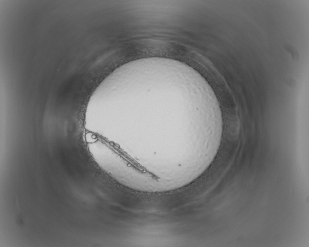 X0000113930701200909251219