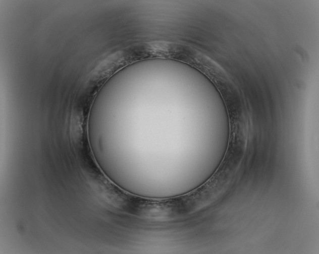 X0000113930702200909251219