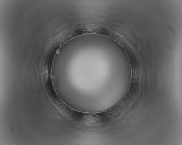 X0000113930703200909251219