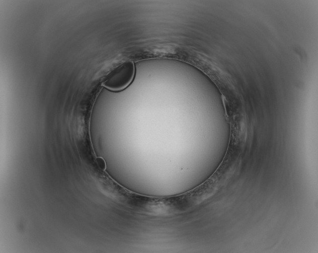 X0000113930704200909251219