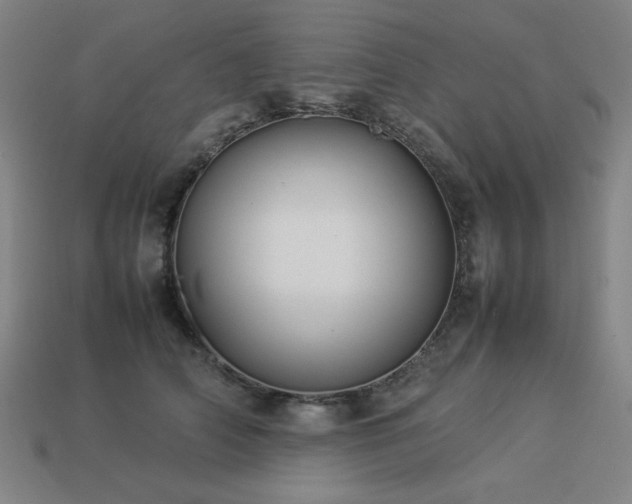 X0000113930706200909251219