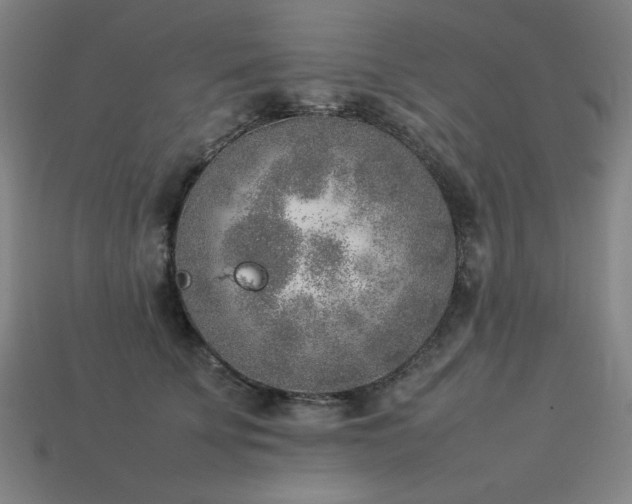 X0000113930707200909251219