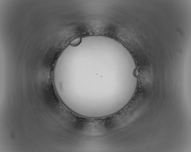 X0000113930709200909251219