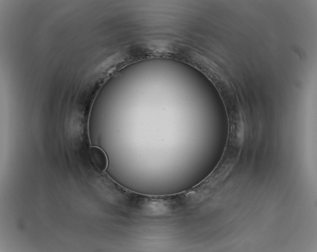 X0000113930710200909251219