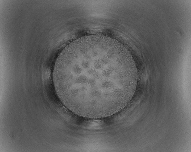 X0000113930711200909251219
