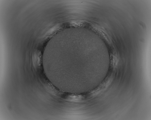 X0000113930712200909251219