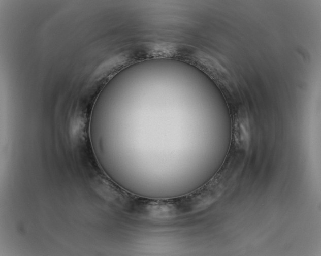 X0000113930714200909251219