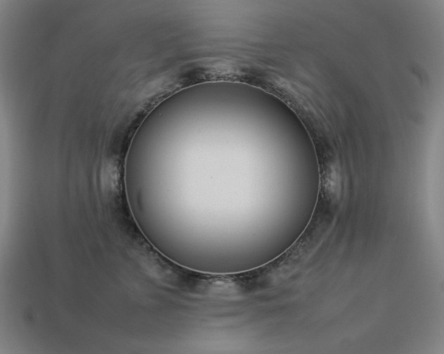 X0000113930715200909251219