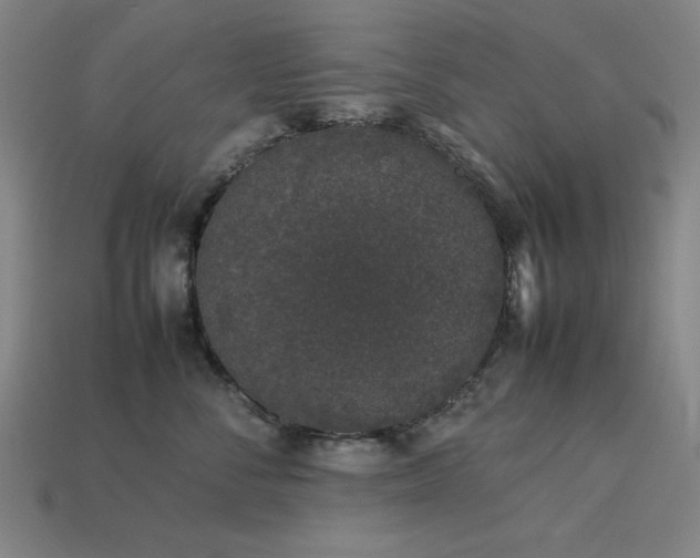 X0000113930716200909251219