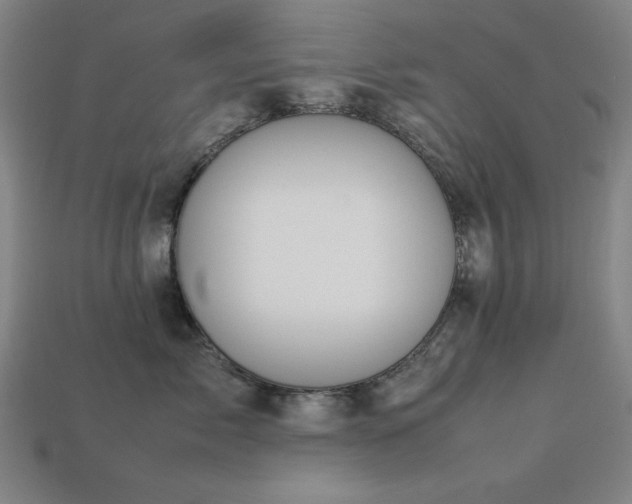 X0000113930717200909251219