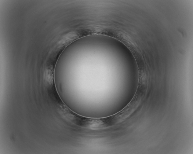 X0000113930719200909251219