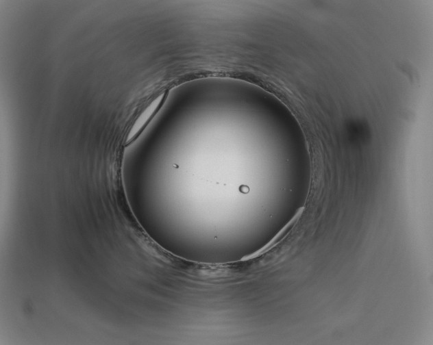 X0000113930720200909251219