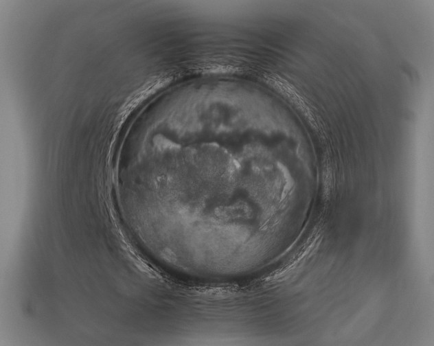X0000113930721200909251218