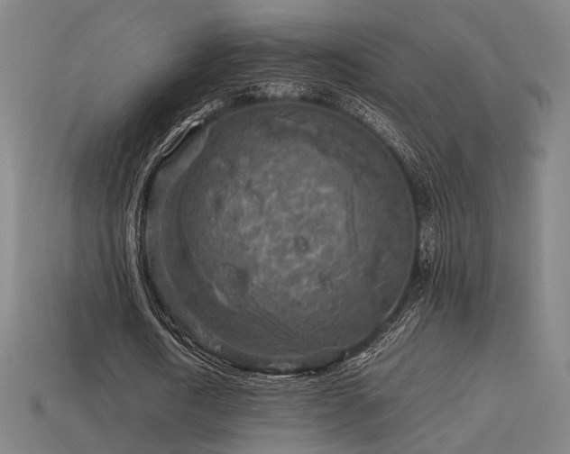 X0000113930722200909251218