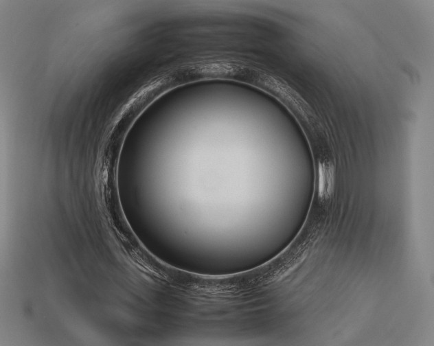X0000113930723200909251218