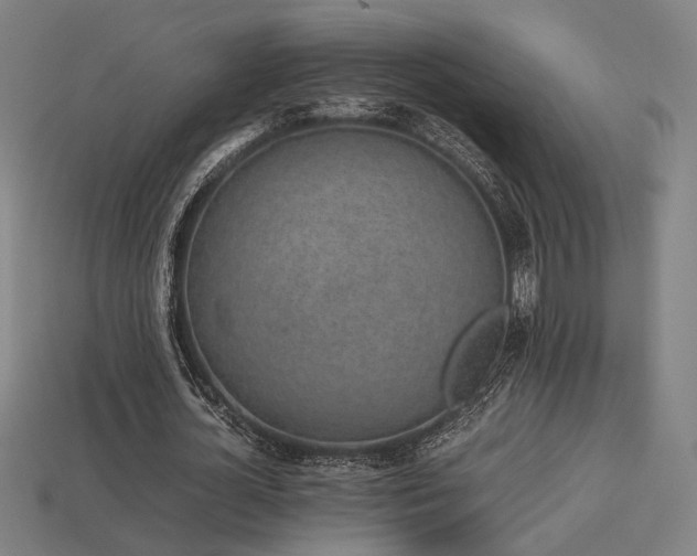 X0000113930724200909251218
