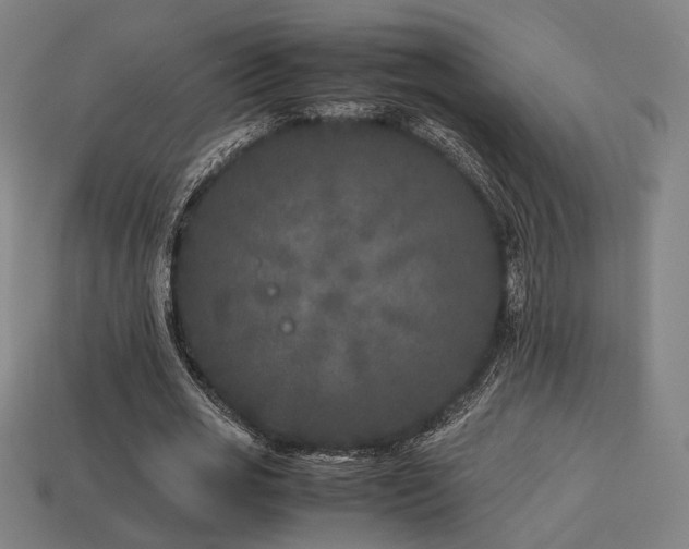 X0000113930725200909251218