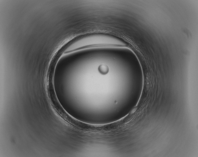 X0000113930726200909251218