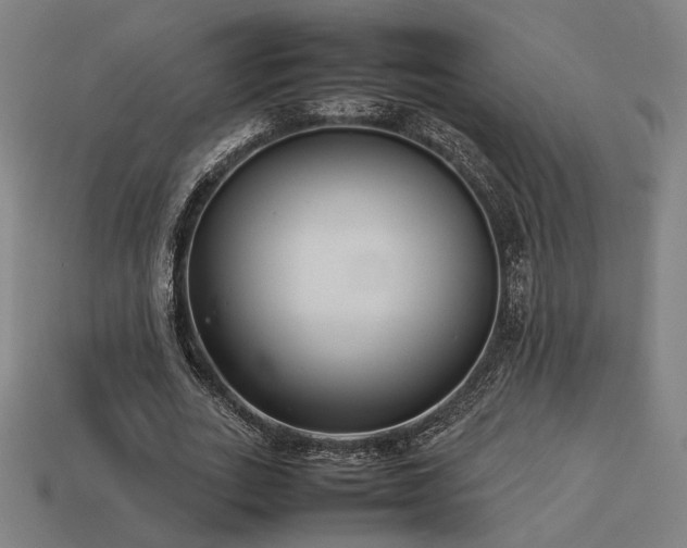 X0000113930727200909251218