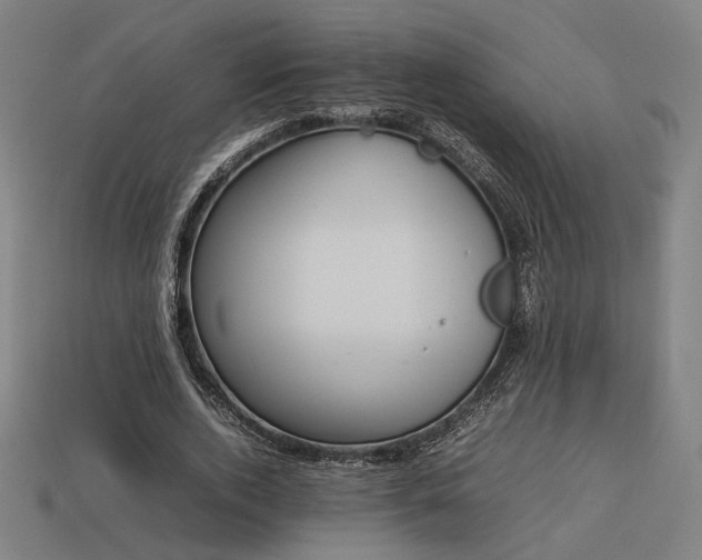X0000113930728200909251218