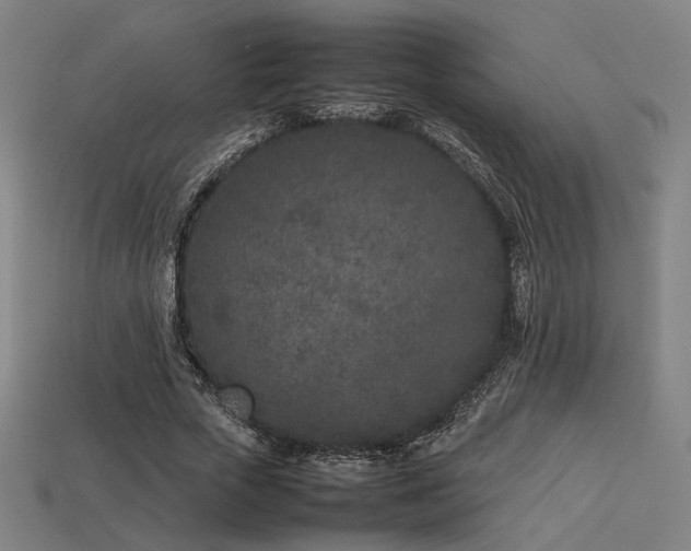 X0000113930729200909251218