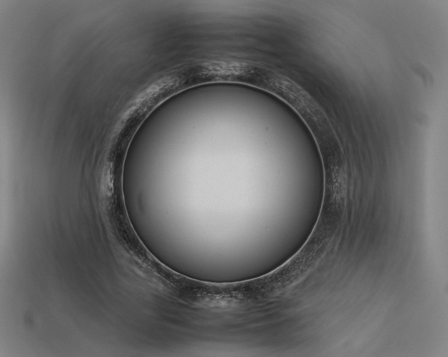 X0000113930731200909251218