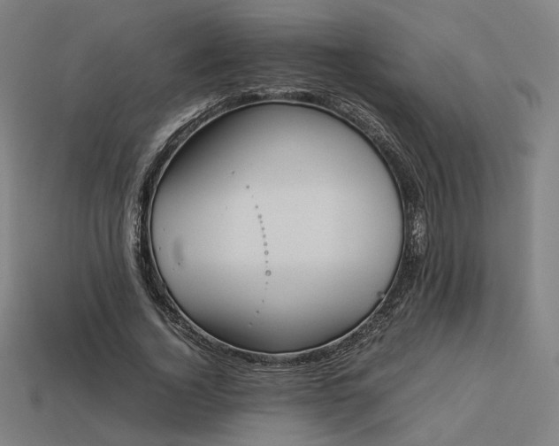 X0000113930732200909251219