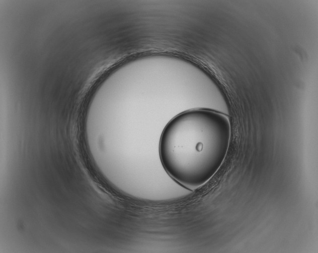 X0000113930736200909251219