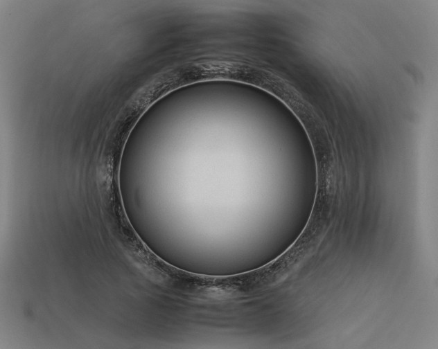 X0000113930737200909251219