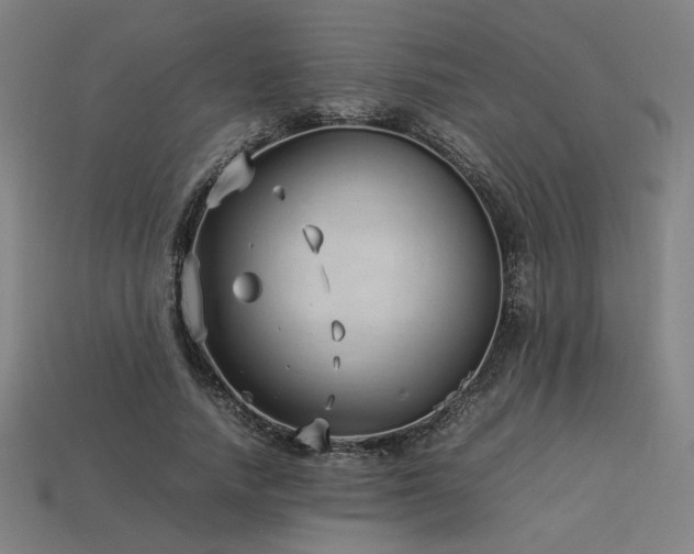 X0000113930738200909251219
